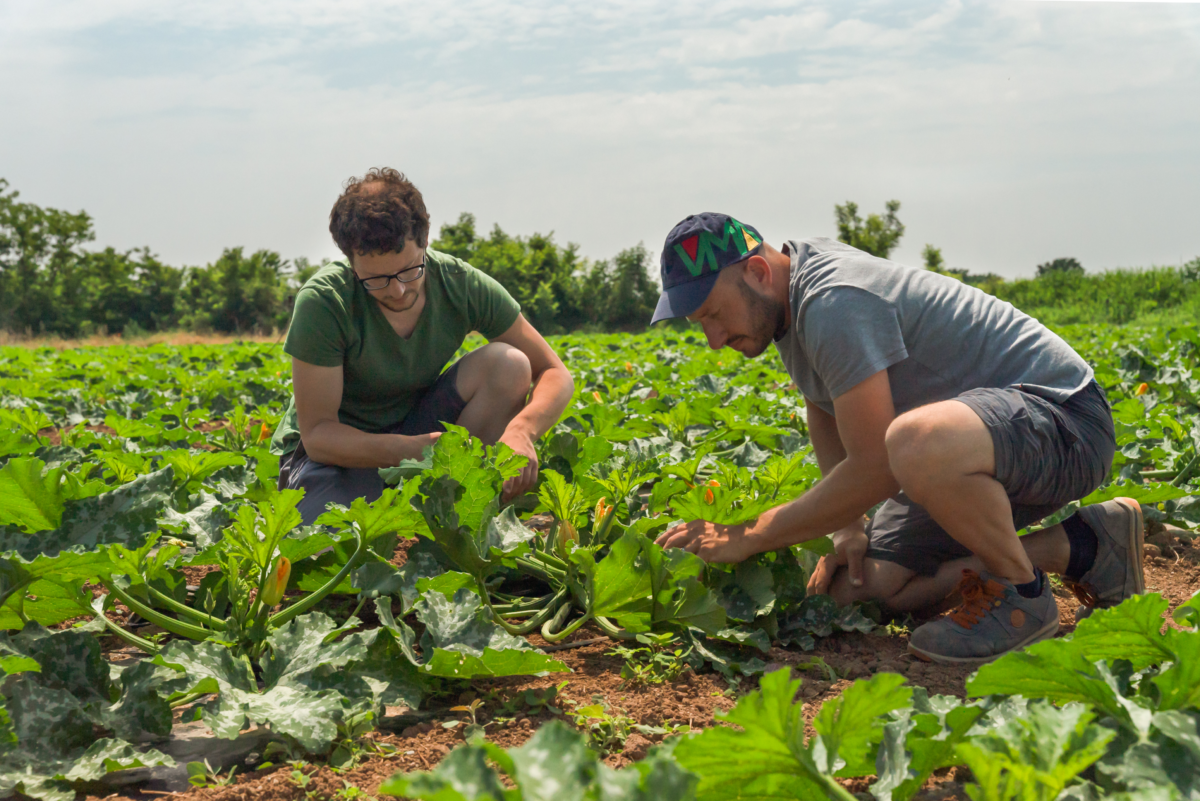 NaturaS&igrave; lancia la campagna “Il giusto prezzo del cibo”
