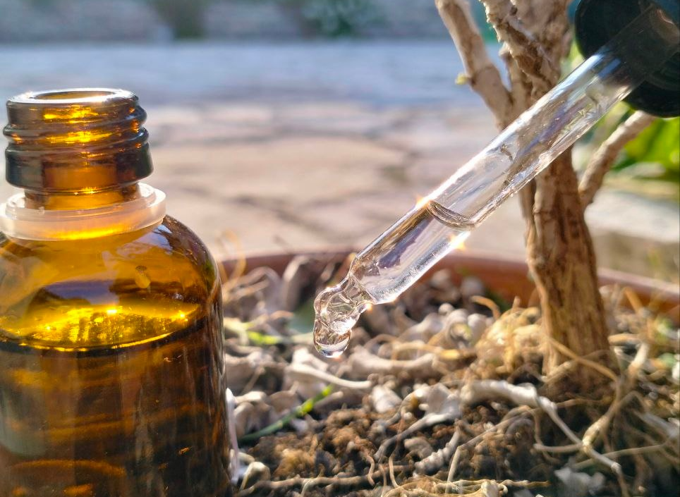 Aiutiamo le piante con i fiori di Bach