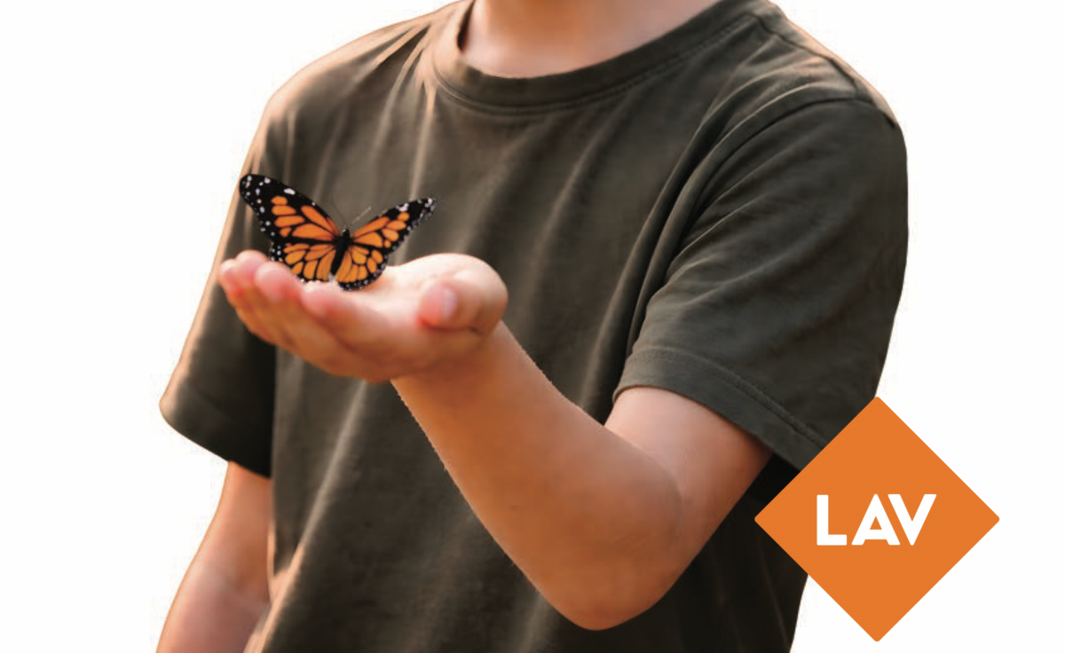 Lav: &laquo;Maltrattamenti sugli animali, troppi ragazzini vi assistono&raquo;