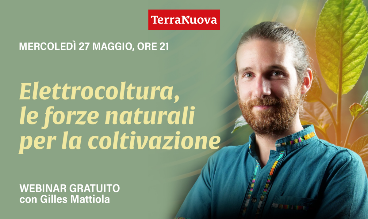 Elettrocoltura: webinar gratuito con Gilles Mattiola