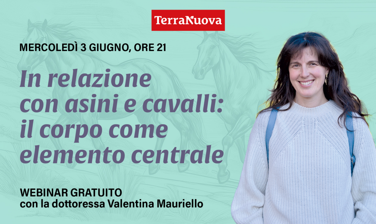 Ripensare la relazione con cavalli e asini: webinar gratuito