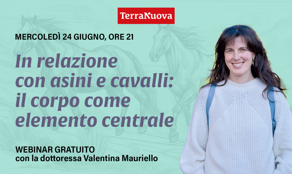Ripensare la relazione con cavalli e asini: webinar gratuito