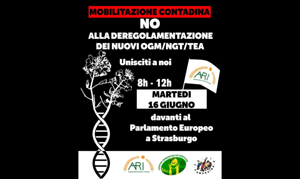 Nuovi OGM, ARI si mobilita: &laquo;Saremo il 16 giugno a Strasburgo per dire no&raquo;
