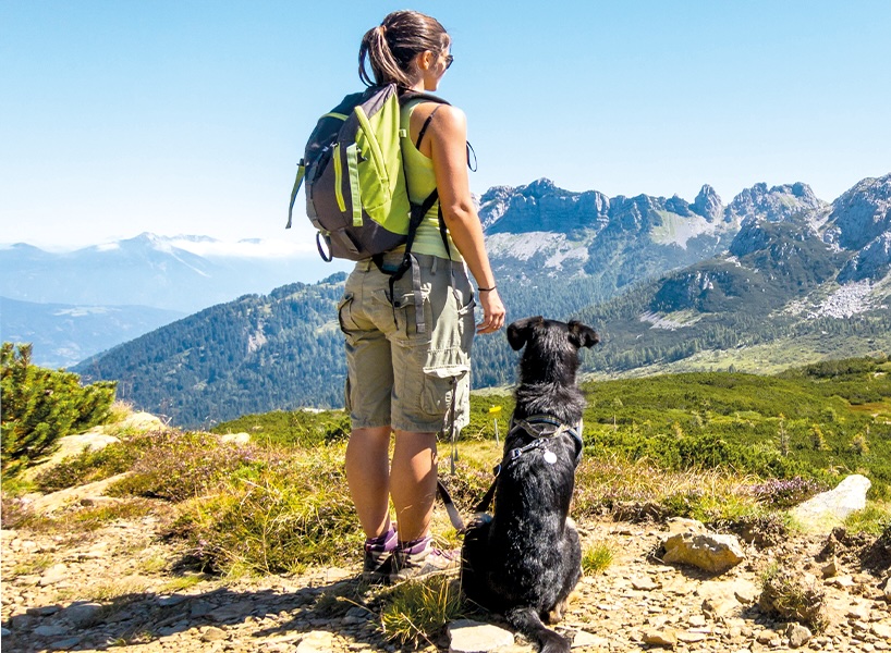 In montagna con il cane. Divertirsi in sicurezza