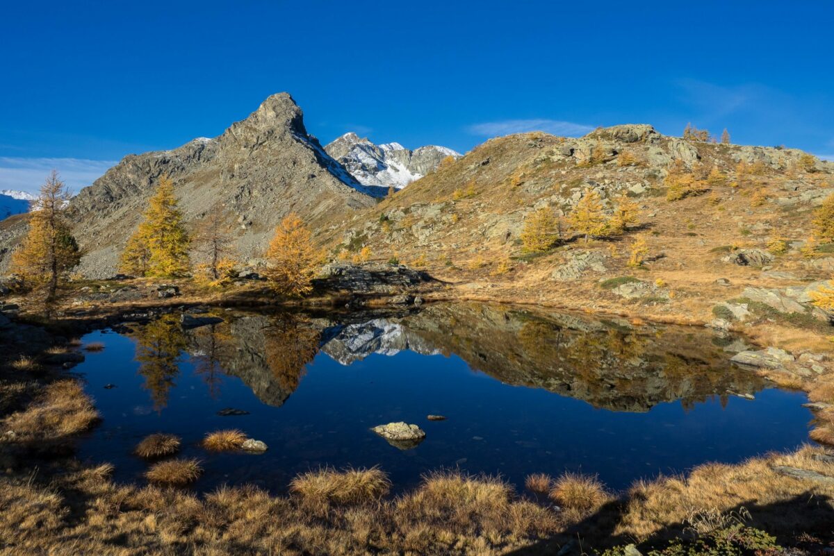 Valle d&rsquo;Aosta: alla scoperta del parco naturale di Mont Avic