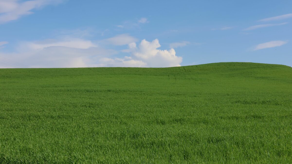 Curare il prato secondo natura: la rivoluzione silenziosa (e senza emissioni) del taglio a batteria
