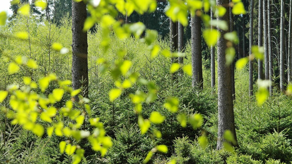 Ferroni: &laquo;Salute dell’uomo e dell’ambiente, non c’&egrave; l’una senza l’altra&raquo;
