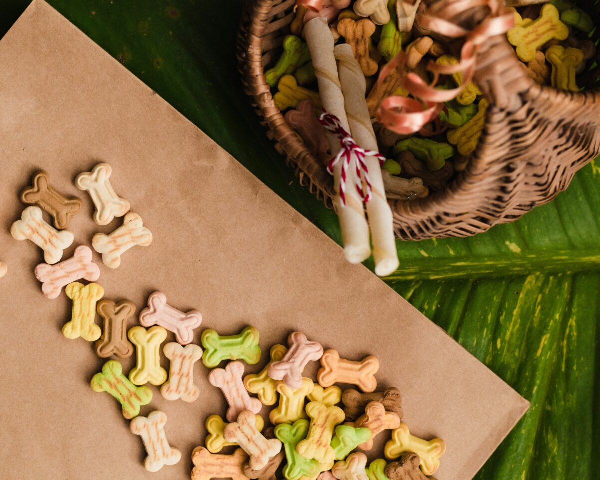 Biscotti per cani ai fiocchi d’avena e formaggio
