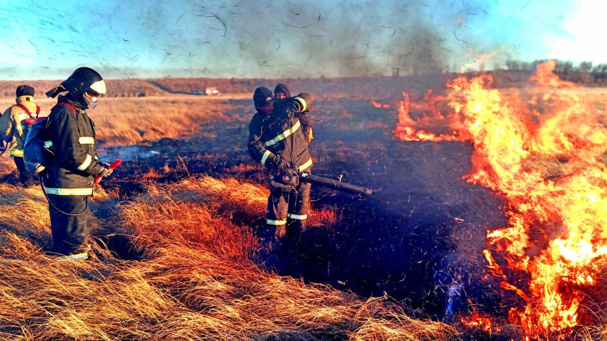 Slow Food: &laquo;Incendi: catastrofe ecologica, sociale e democratica&raquo;