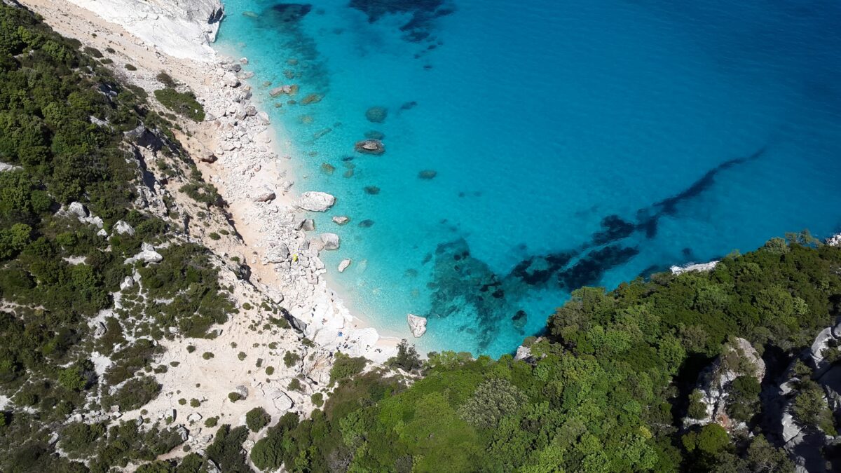 Wwf: &laquo;No al taglio dei fondi a parchi e aree protette&raquo;