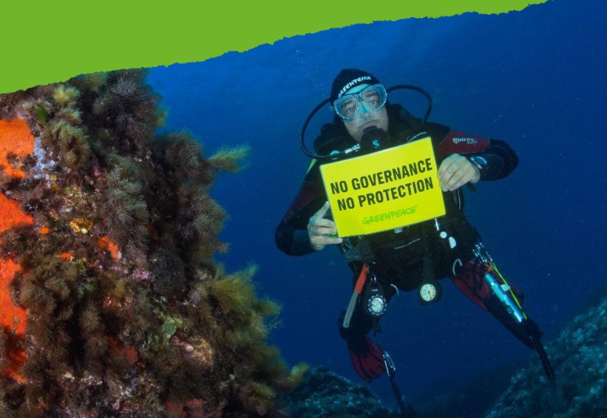 Greenpeace: &laquo;Pesca a strascico e sversamenti in siti marini protetti&raquo;