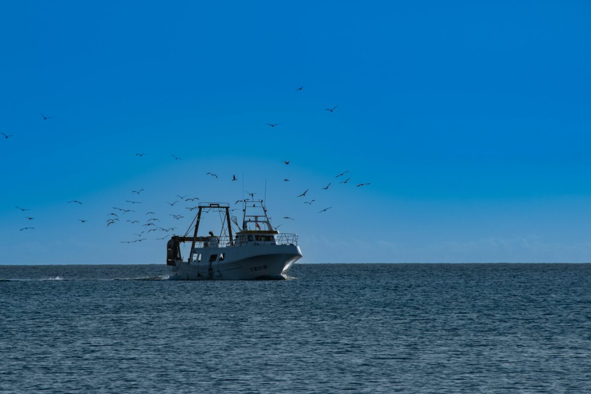 MedReAct e Oceana: &laquo;Mediterraneo, va esteso il divieto di pesca a strascico&raquo;