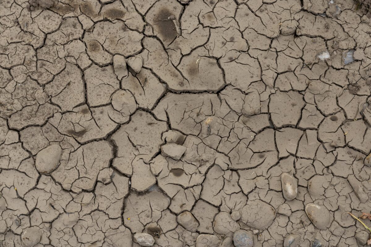 Legambiente: &laquo;Siccit&agrave; e agricoltura, risorse idriche da preservare&raquo;