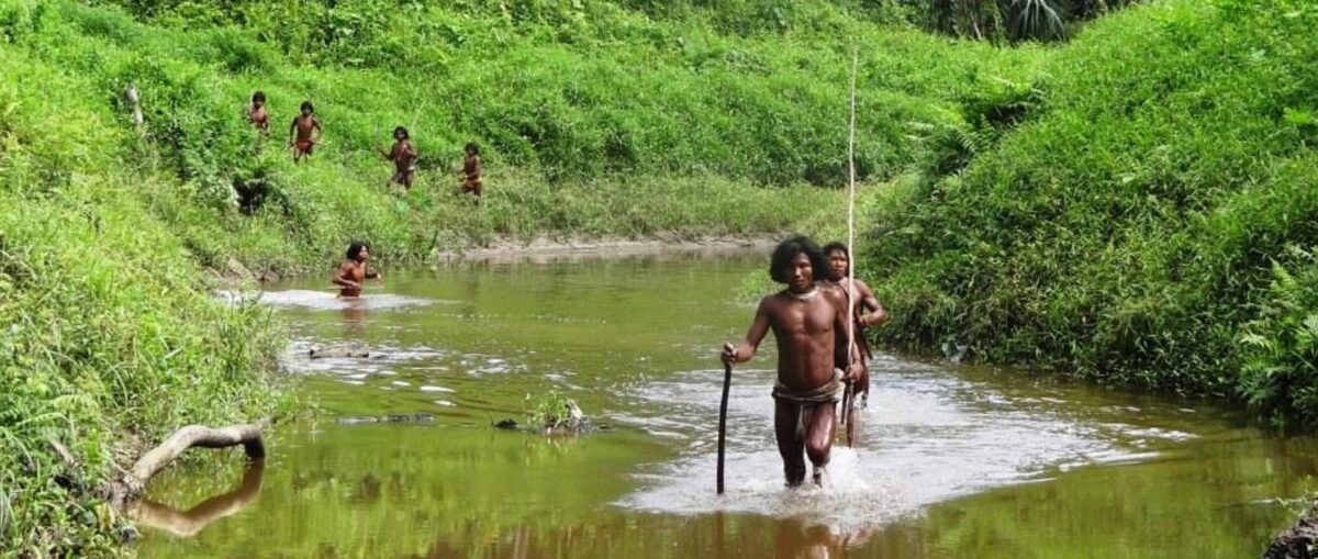 Survival: &laquo;Anche l’Onu chiede lo stop alla devastazione sull’isola indiana&raquo;