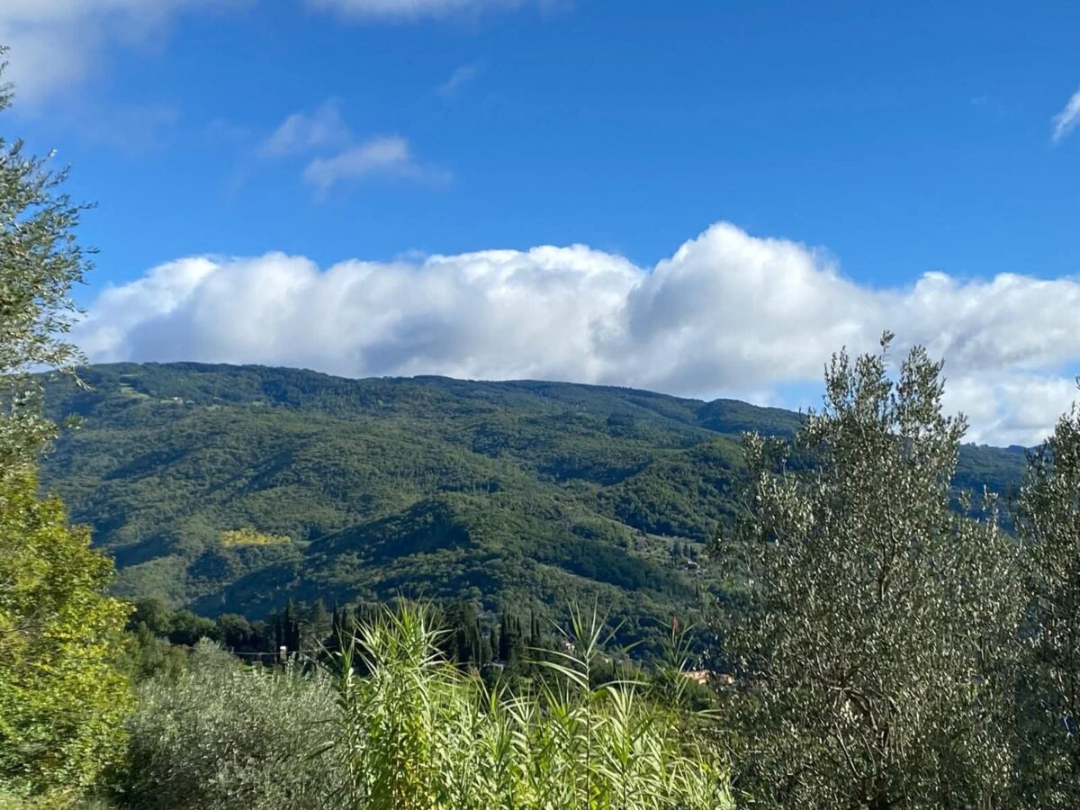 Toscana: pioggia di no per il mega-eolico di Londa