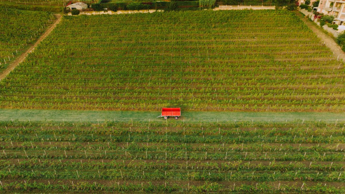 Coltivando algoritmi: la trappola dell&rsquo;agricoltura digitale