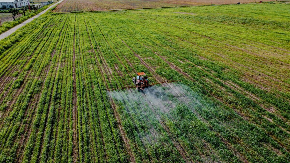 Ogni anno il 46% degli agricoltori nel mondo &egrave; avvelenato dai pesticidi: lo studio
