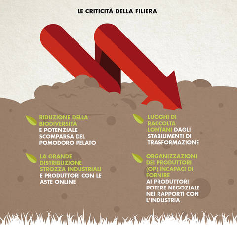 Le criticità della filiera
